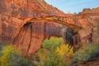 Escalante Natural Bridge-Grand Staircase-Escalante National Monument-Utah Art Print